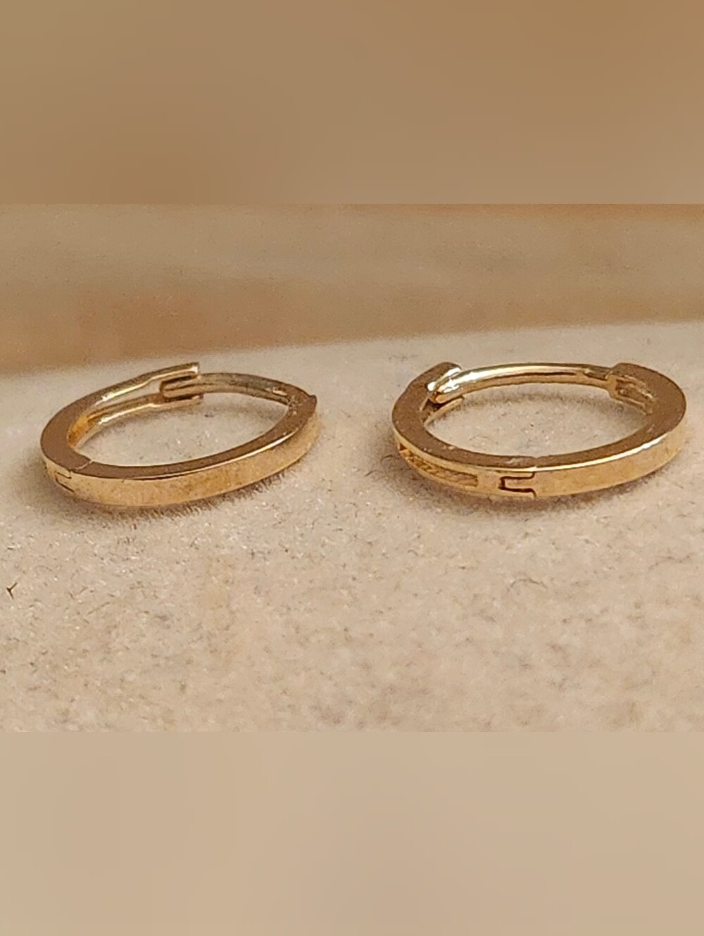 10kt Gold Hinge Hoop Earrings for Women